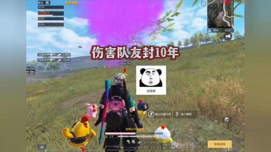 和平精英正规卖挂平台【小笼包一体直装】午后